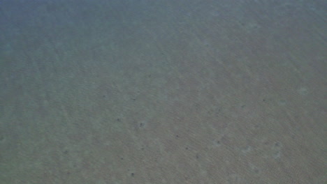 Aerial-looking-down-at-a-shallow-clear-water-sandbar-in-the-Gulf-of-Mexico