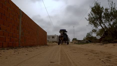 Low-angle-view-of-horse-pulling-carriage-with-tourists-along-Tunisian-unpaved-village-streets