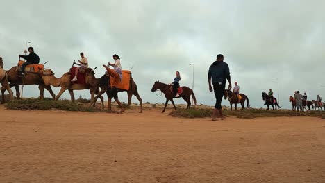 Caravana-De-Domedars-Y-Caballos-Con-Turistas-En-El-Desierto-Tunecino