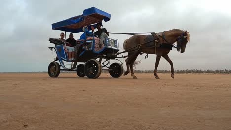 Beautiful-powerful-horse-pulling-carriage-with-tourists-for-tour-in-Tunisian-desert