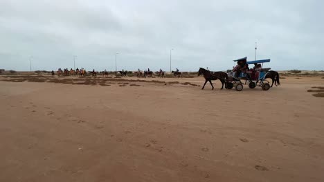 Caravan-of-horses-and-dromedaries-pulling-carriages-with-tourists-in-Djerba-dry-salt-lake-desert,-Tunisia