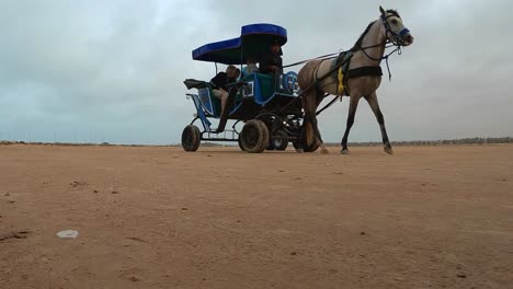 Reverse-tracking-shot-of-harnessed-horse-pulling-carriage-with-tourists-for-desert-tour-in-Tunisia