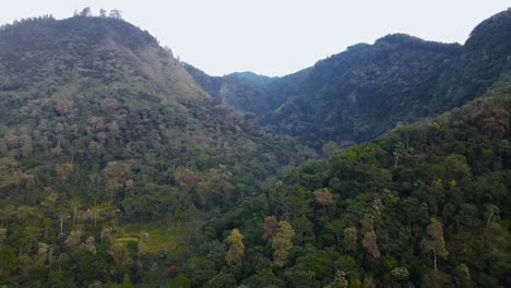 Der-Dschungel-überwuchert-Den-Selogrio-Hügel-In-Zentral-Java,-Indonesien