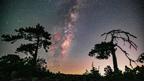 This-artistic-composition-captures-the-breathtaking-nocturnal-beauty-of-the-galactic-sky,-as-seen-from-Earth-amidst-a-backdrop-of-trees,-through-a-panoramic-galaxy-timelapse