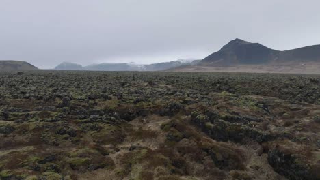 Flying-Above-Lava-Fields-and-Icelandic-Moss-on-Cloudy-Spring-Day,-Drone-Aerial-View