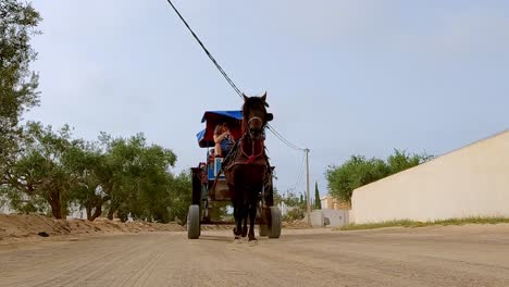 Reverse-tracking-shot-of-harnessed-horse-pulling-carriage-with-tourists-for-seighseeing-in-Tunisia