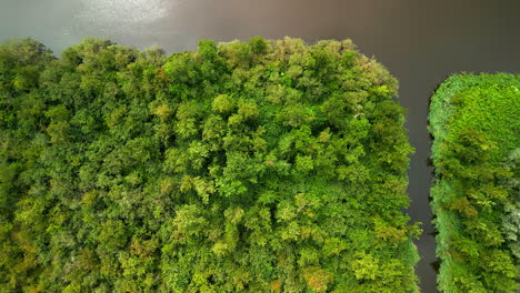 Descending-drone-shot-over-conifer-forests-and-navigable-water
