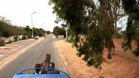 Top-view-of-horse-drawn-carriage-with-two-persons-along-Djerba-street-in-Tunisia