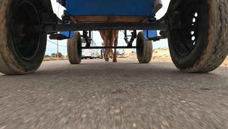 Incredible-low-angle-ground-surface-view-of-horse-pulling-blue-carriage-on-Tunisia-road