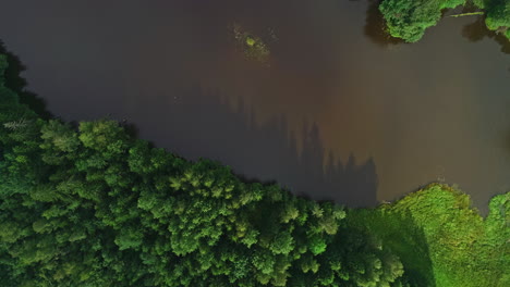 Aerial-view-of-a-dark-green-forest-and-open-grassy-field-with-a-river-flowing-through-the-middle-of-it,-and-reflections-of-the-trees-on-the-water