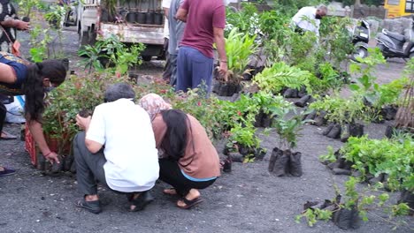 Senior-citizens-and-young-people-are-buying-flower-plant-seedlings-for-their-kitchen-gardens-in-monsoon-season