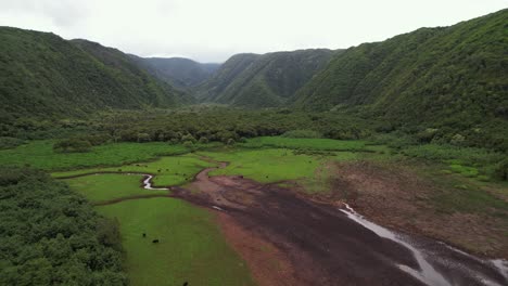 Pololu-Valley,-Big-Island,-Hawaii