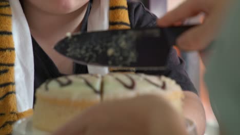 Little-Girl-Child-Cutting-Eating-Birthday-Party-Cake-Up-Close-Shot