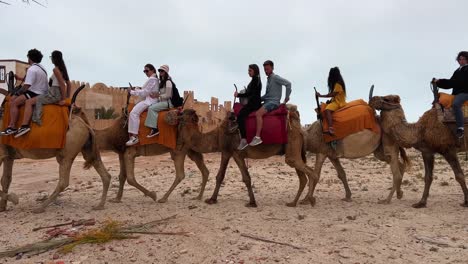 Tourists-enjoy-Tunisian-caravan-riding-dromedary-camels