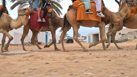 Eine-Gruppe-Von-Touristen-Genießt-Eine-Karawanentour-Auf-Dromedaren-In-Tunesien,-Seitliche-Aufnahme-In-Zeitlupe