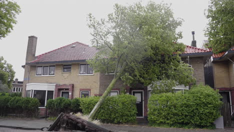 árboles-Caídos-En-La-Casa-Durante-Una-Fuerte-Tormenta-En-Los-Países-Bajos