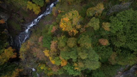 Fantastic-aerial-view-from-above-over-fantastic-forest-with-autumn-colors-and-a-small-river,-in-Switzerland
