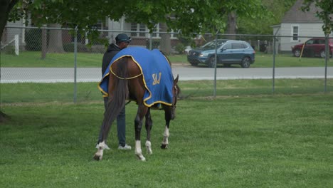 Entrenador-Sosteniendo-El-Caballo-En-La-Hierba-En-Churchill-Downs