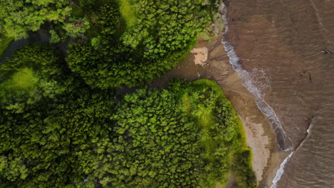 River-running-through-forest-depositing-sediment-into-ocean,-Kawela-Molokai