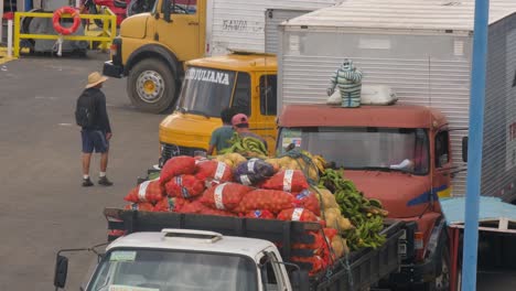 dockworker-carry-banana-in-dock