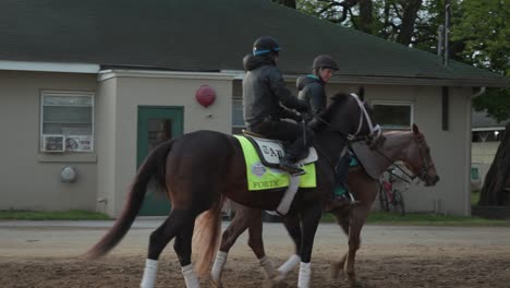 Kentucky-Derby-Horse-Forte-Calentando