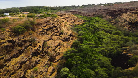 Aerial-green-forest-in-a-valley-created-by-erosion,-Kawela-Molokai