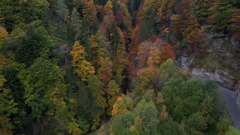 Schöne-Luftaufnahme-über-Einen-Fantastischen-Wald-Mit-Herbstfarben-In-Der-Schweiz