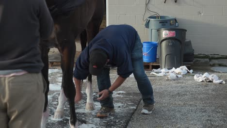Trainer-Washing-Kentucky-Derby-Horses-Hoofs