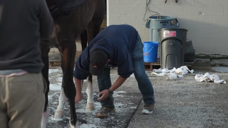 Entrenador-Lavando-El-Derby-De-Kentucky-Caballos