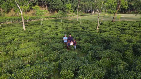 Khadimnagar-Teeplantage-Oder-Bauernhof-Luftaufnahme