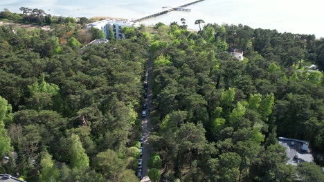 Aerial-view-road-between-trees-near-coast-portrays-scene-of-tranquility
