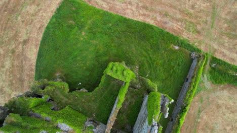 Cenital-aerial-shot-of-mossy-Ballycarbery-Castle-in-a-dry-meadow