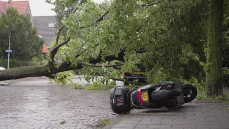 Árboles-Y-Scooters-Caídos-Durante-Una-Fuerte-Tormenta-En-Haarlem,-Países-Bajos