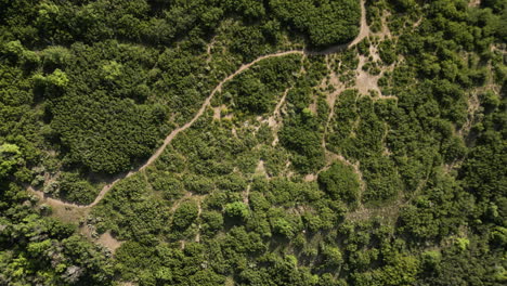 Satellite-top-down-view-of-dirt-trails-on-the-mountainside-of-the-Wasatch-Mountain-Range