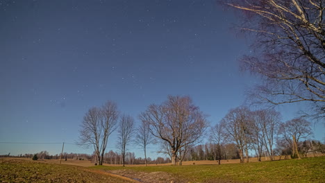 Timelapse-of-stars-rotates-over-a-field-of-trees-and-grass