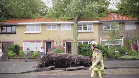 árboles-Caídos-En-Casas-Durante-Fuertes-Tormentas-En-Los-Países-Bajos