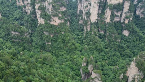 Zhangjiajie-Scenic-Forest-In-Hunan-Province,-China