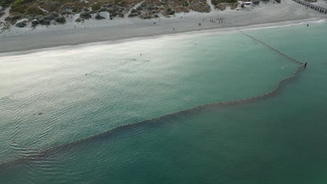 Luftaufnahme-Von-Schwimmern-In-Der-Geschützten-Meereszone-Mit-Coogee-Beach-Im-Hintergrund-–-Westaustralien-Am-Frühen-Morgen