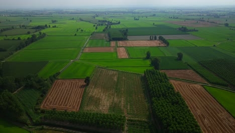 Ottobiano-Landschaft-Und-Bebaute-Felder-In-Der-Provinz-Pavia,-Italien