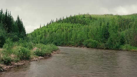 A-muddy-river-rushes-past-a-lush-green-forest-in-Alaska-from-an-aerial-drone