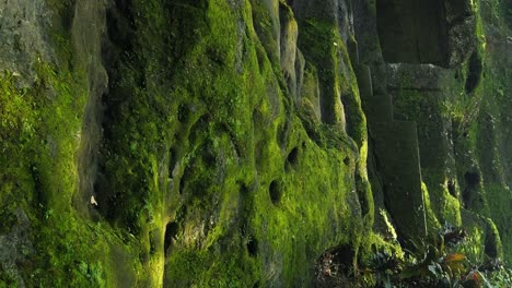 Vertikale-Aufnahme-Eines-Idyllischen,-Traumgrünen-Gartens-Im-Goa-Gajah-Tempel-In-Der-Elefantenhöhle-In-Gianyar-Auf-Bali,-Indonesien-Mit-Blick-Auf-Den-Rasen-Mit-Steinstufen-Und-Pflanzen-In-Zeitlupe