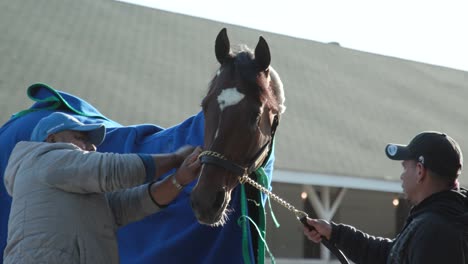 Caballo-Del-Derby-De-Kentucky-Recibiendo-Un-Baño-De-Esponja-En-Churchill-Downs