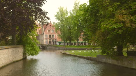 Canal-Bruges-quaint-Belgium-in-sunny-day_4K