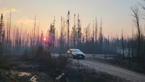 A-car-parked-at-a-forest-fire-aftermath-during-the-sunset