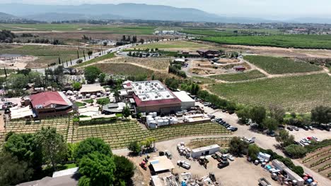 Drone-flyover-Wilson-Creek-Winery-farm-in-Temecula,-California