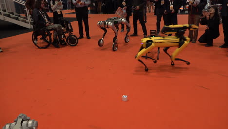 Quadruped-dog-robots-walk-around-and-react-to-each-other-at-the-IEEE-Robotics-and-Automation-Society-Conference-at-the-Excel-Centre