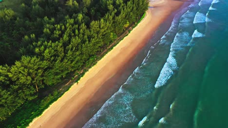 Aerial-drone-lens-or-view-in-which-blue-color-water-is-coming-in-wave-form-on-the-seeds-and-there-is-no-person-in-the-seeds-and-there-is-also-a-beautiful-forest-around