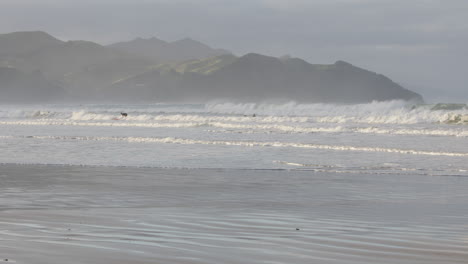Pan-shot-of-powerful-waves-in-Caste-Point-Beach,-New-Zealand
