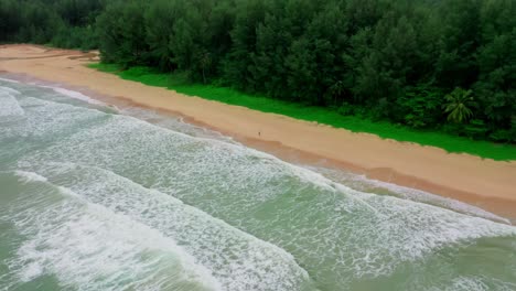 Aerial-drone-camera-going-far-away-with-huge-sea-waves-coming-to-the-shore-and-huge-forest-behind-them-landscape-aerial-view