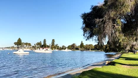 Boats-on-the-banks-of-the-Swan-River-at-Peppermint-Grove,-Perth,-Western-Australia